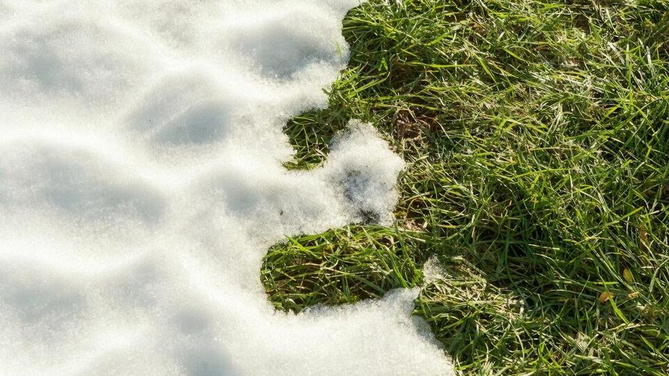 В Украине ожидается потепление до +8 °С... +10 °С