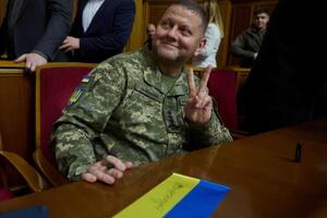 Арестович сравнил Залужного (на фото) с китом: Вот он большой, как кит. Добрый, как кит. Улыбчивый, как кит. Но если разъярить – снесет все