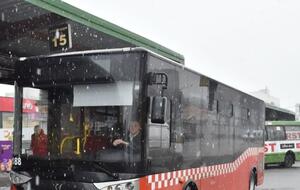 "Результати скоро". В Україні спростили вихід на ринок автобусних перевізників. Інфографіка