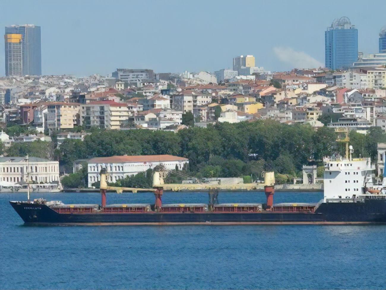 Судно с агропродукцией шло из порта Пивденный