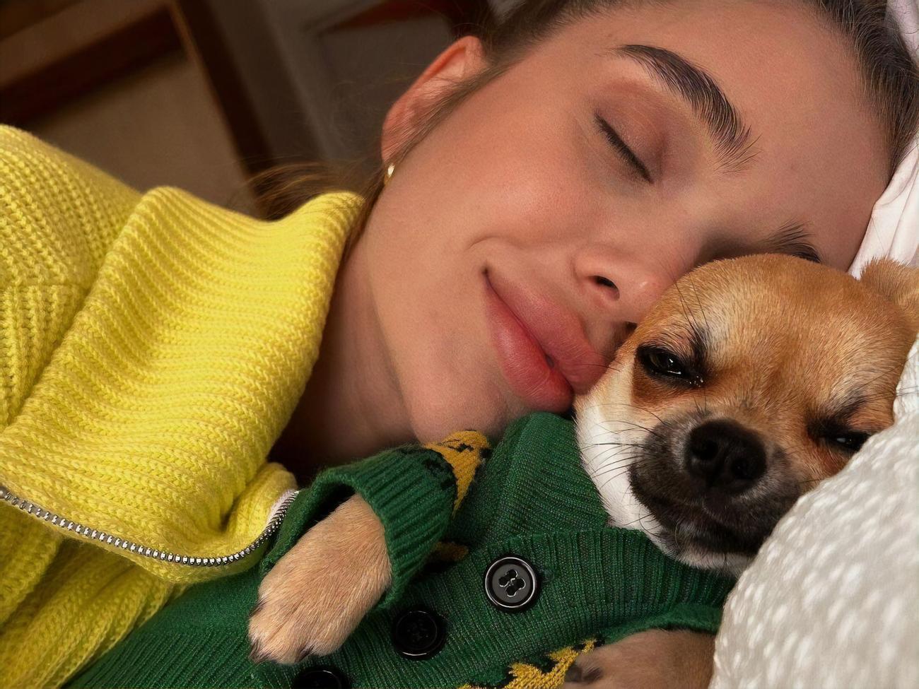 У Саши Бо собака породы чихуахуа