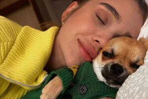 У Саши Бо собака породы чихуахуа