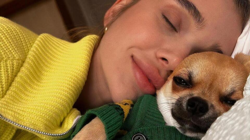 У Саши Бо собака породы чихуахуа