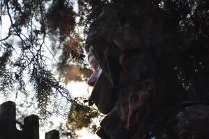 Пограничники и другие военные не позволили оккупантам обойти опорный пункт