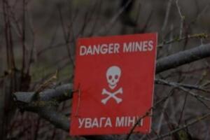 В ГСЧС из-за минной опасности призвали жителей Херсонской области пользоваться асфальтными и бетонными дорогами, не заходить в леса и лесополосы