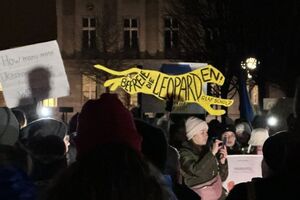Митингующие в Берлине пришли с изображениями леопардов