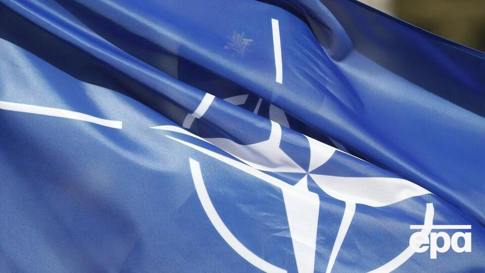 Від НАТО Україні потрібна просто зброя, зазначив Піонтковський