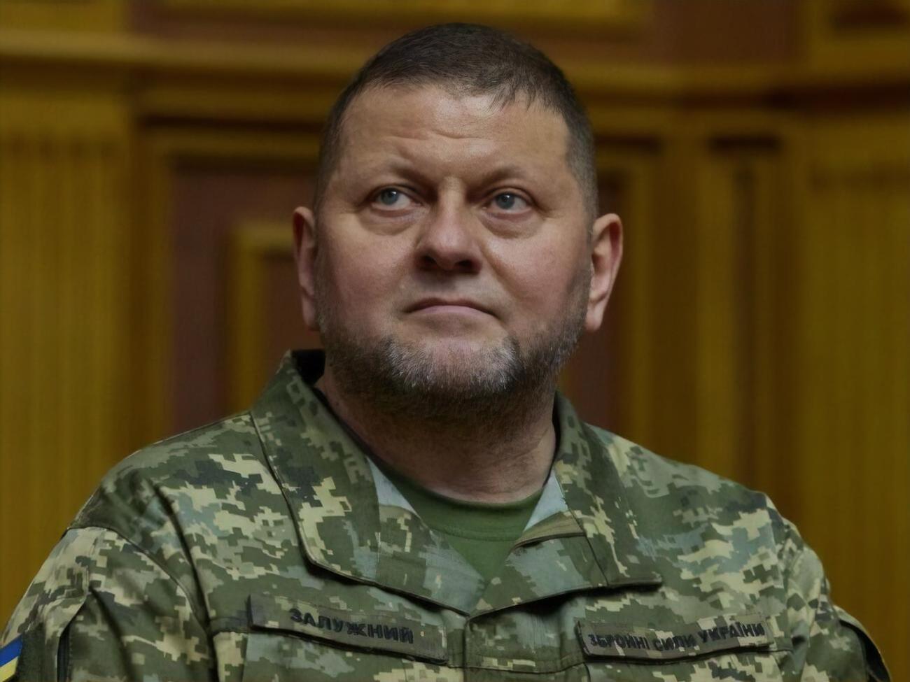 Залужний (на фото) висловив подяку Міллі "за потужну підтримку і лідерство"
