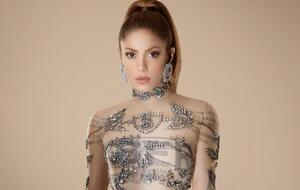 Шакира в гражданском браке с Пике родила двух сыновей