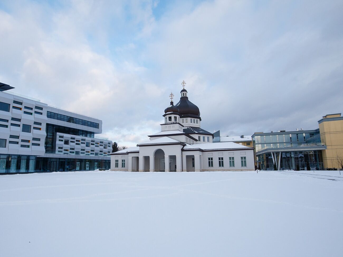 В УКУ о пожертвовании Степанца узнали в конце 2022 года