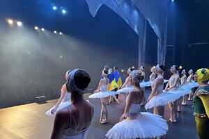 До 2017 року The Ukrainian National Ballet of Odessa мав назву "Театр російського класичного балету"