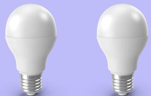 У відділеннях "Укрпошти" вже є 6 млн 600 тис. ламп для обміну, повідомила Свириденко