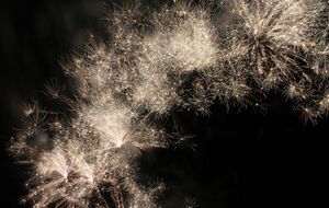 Дії людей, які запускали феєрверки у воєнний час, кваліфікували як хуліганство