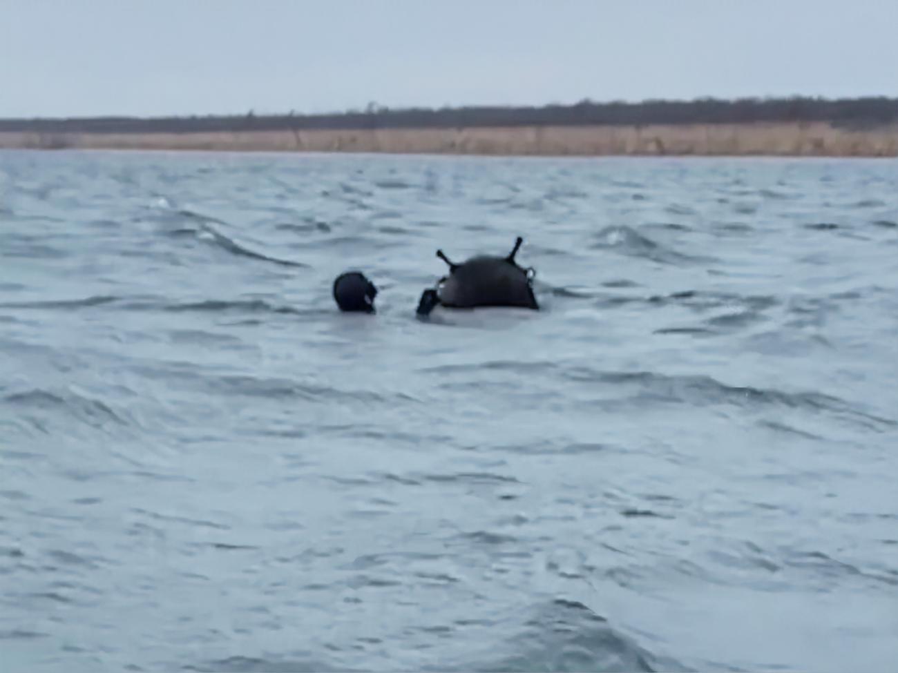 ВМС знешкодили чергову морську міну
