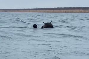 ВМС знешкодили чергову морську міну