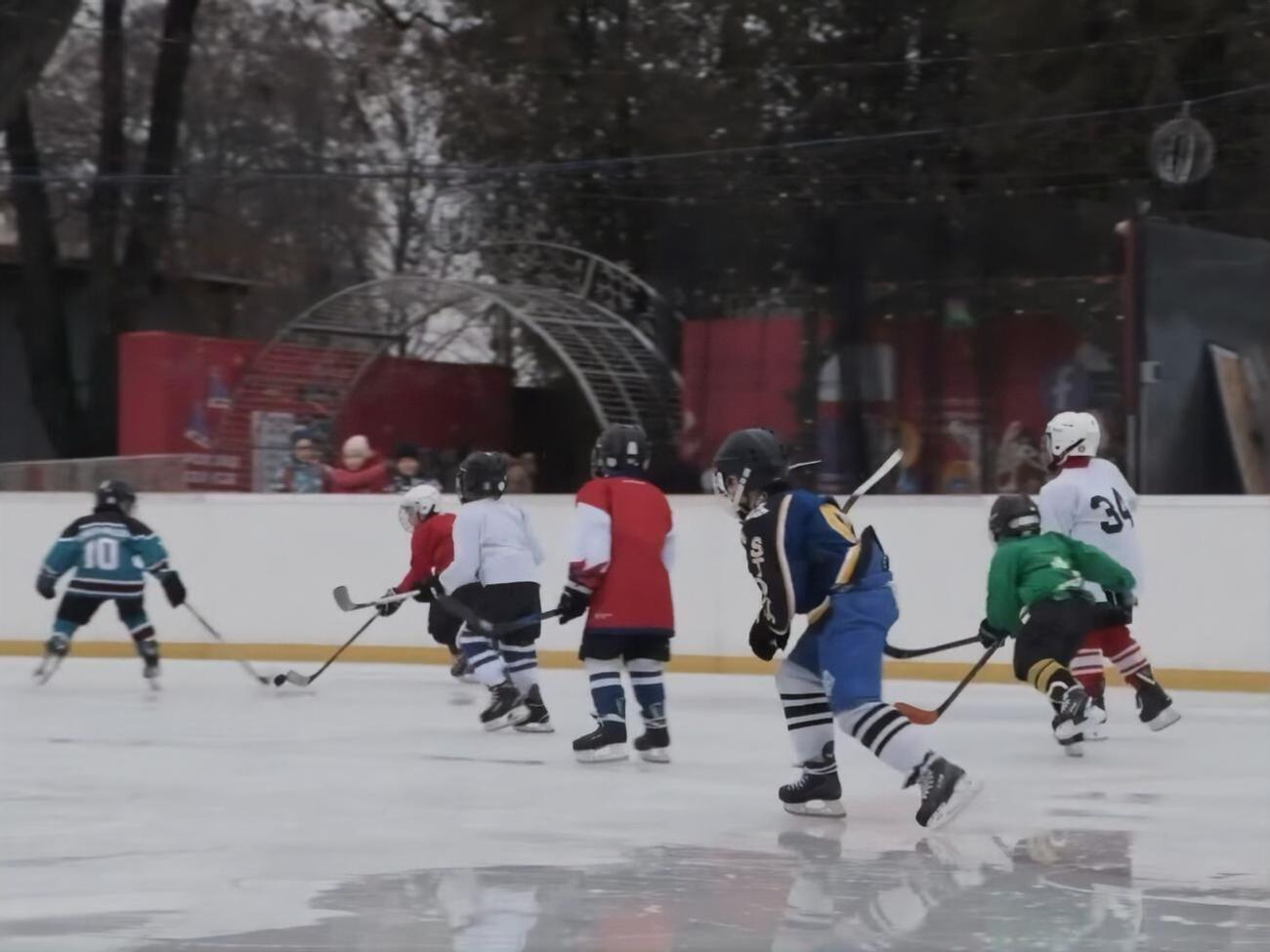 В тех общинах Закарпатской области, где обустроят площадки, создадут ДЮСШ с отделениями для хоккея, отметил глава ОВА