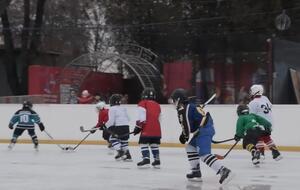 В тех общинах Закарпатской области, где обустроят площадки, создадут ДЮСШ с отделениями для хоккея, отметил глава ОВА