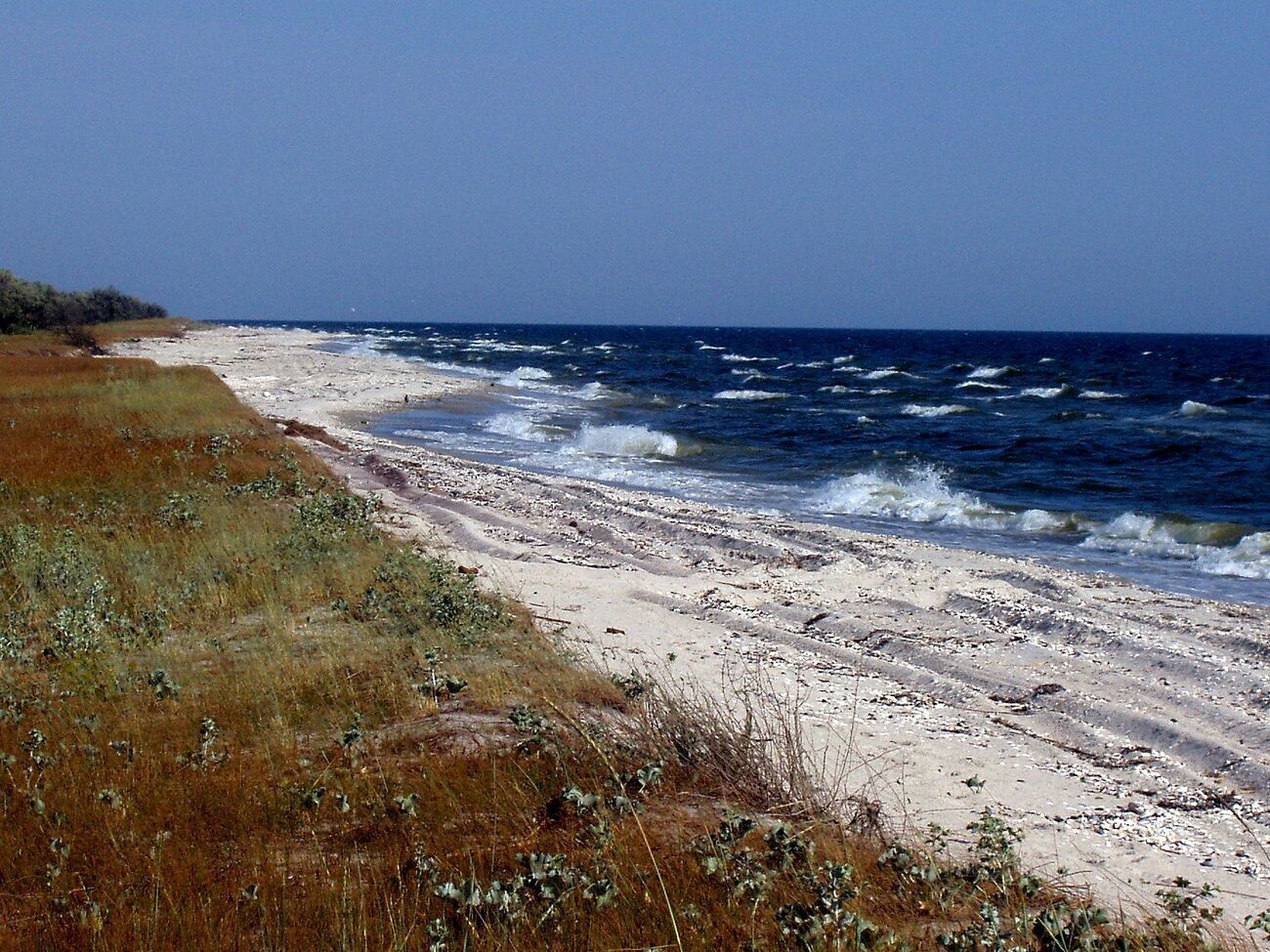 Оккупанты все еще остаются на Кинбурнской косе