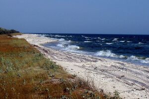 Оккупанты все еще остаются на Кинбурнской косе