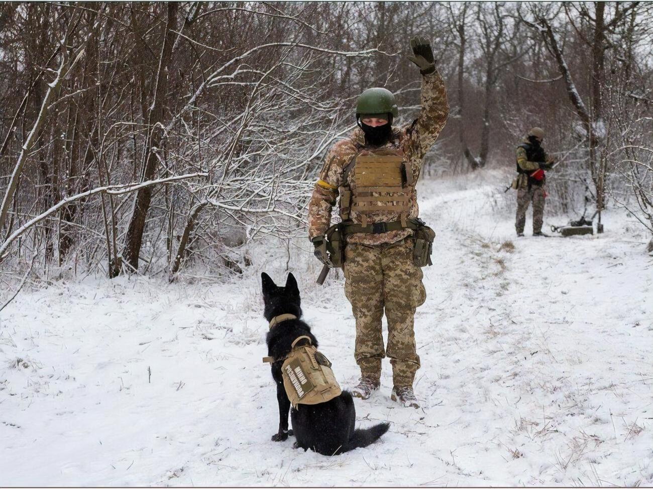 Служебная собака во время учений указала на место, где не должно было ничего быть. Оказалось, это не ошибка