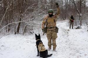 Служебная собака во время учений указала на место, где не должно было ничего быть. Оказалось, это не ошибка