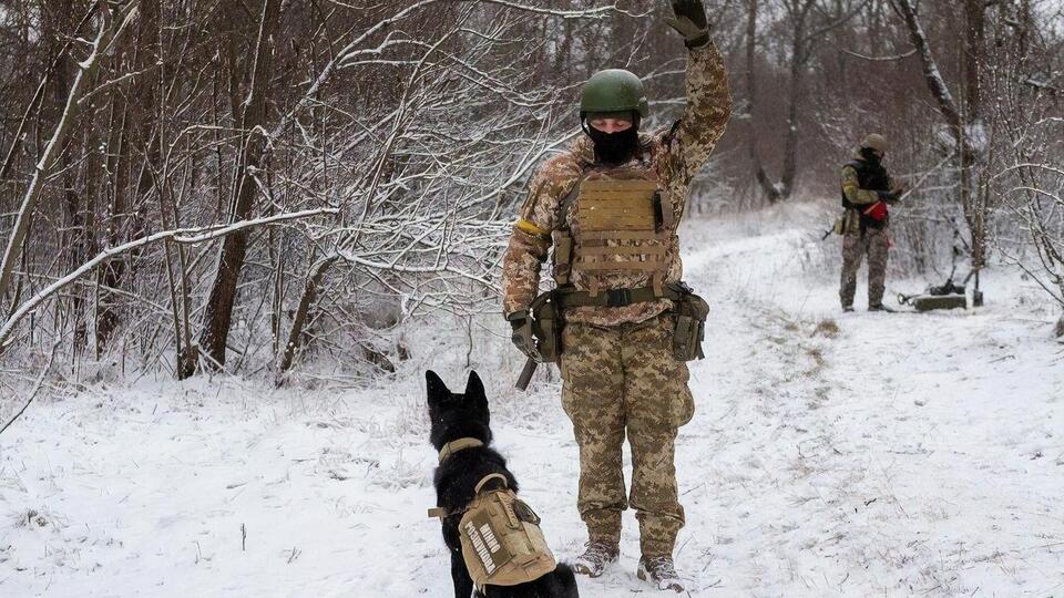 Службовий собака під час навчань вказав на місце, де не мало нічого бути. Виявилося, це не помилка