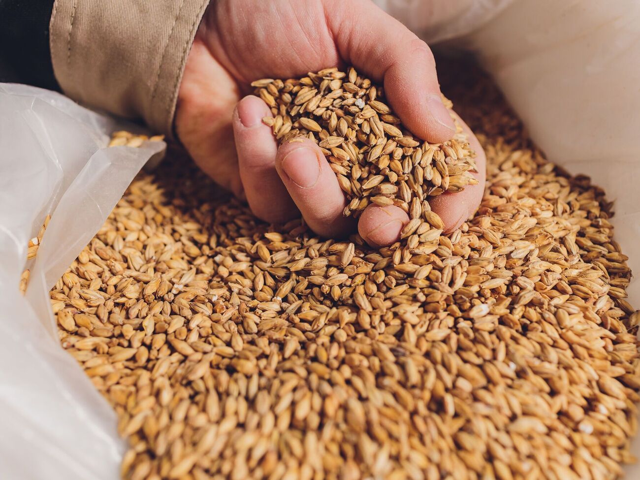 Все фермеры на оккупированной территории Херсонской области должны продавать продукцию созданному россиянами предприятию по фиксированным ценам, заявили в ЦНС