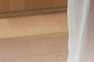 По сюжету Dantes и Кацурина планируют зарегистрировать брак, но в очередной раз получают отказ из-за того, что они являются гетеросексуальной парой