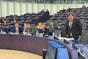 Резолюцію підтримало 73 делегати ПАРЄ