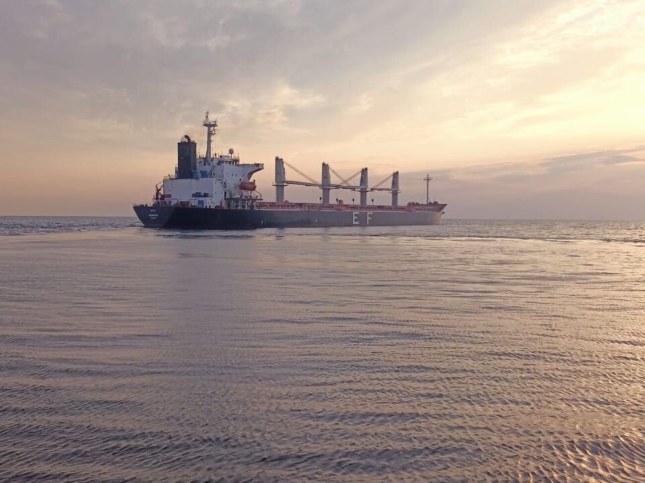 Украина организовала свой "зерновой коридор"