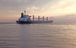 Украина организовала свой "зерновой коридор"