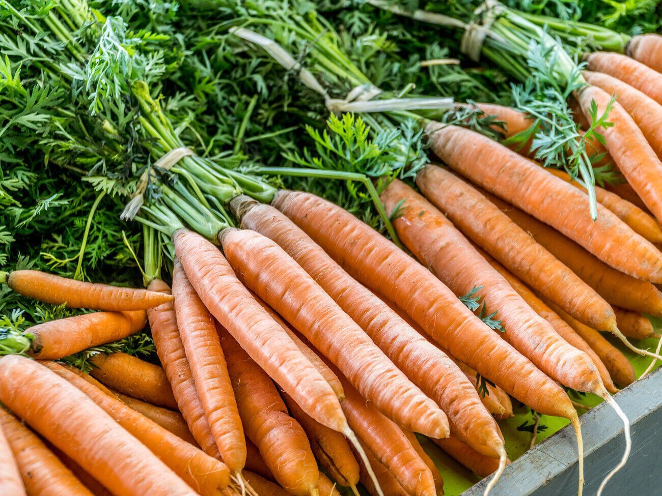 На хранение нужно оставлять только целые и здоровые овощи