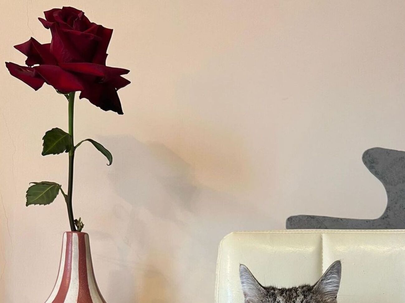 Кулеба: Главное мое изменение – я отказался от лифта