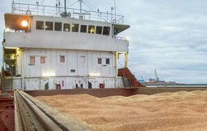 Украинский "зерновой коридор" продемонстрировал возможность принимать и выпускать восемь судов в день