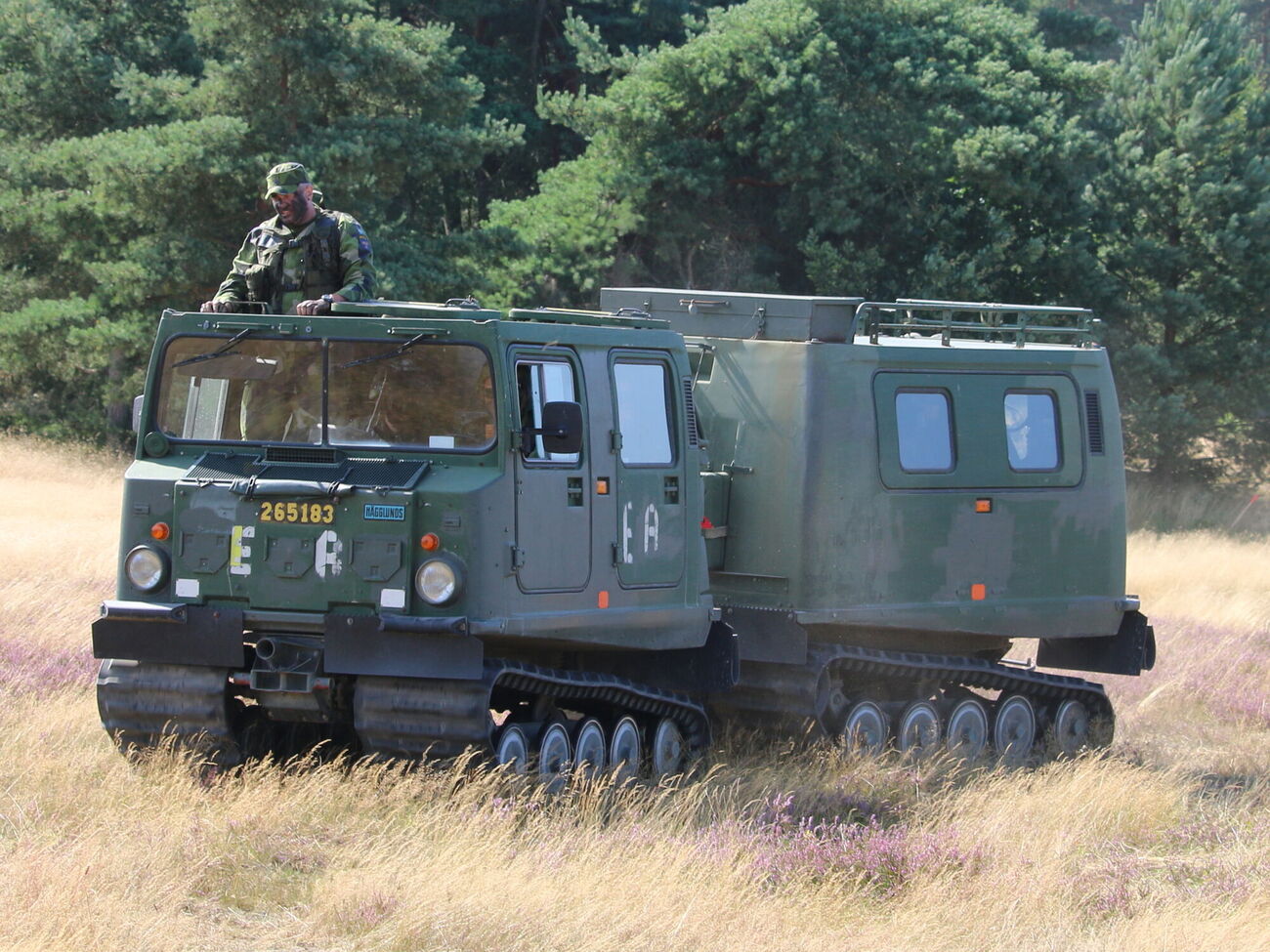 В списке помощи от ФРГ – 14 вездеходов Bandvagn 206