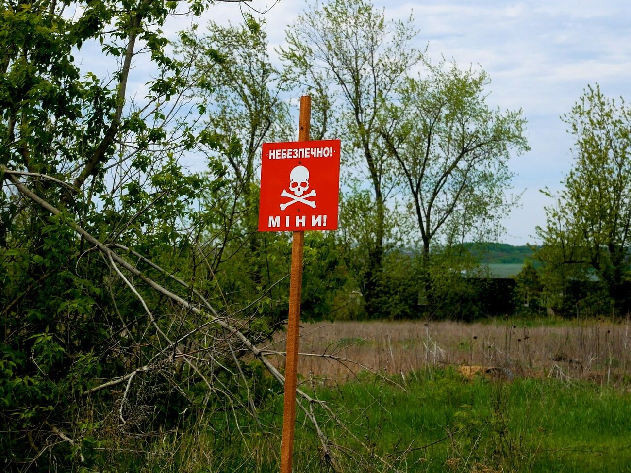На мину сейчас можно наткнуться в полях, лесах, водоемах