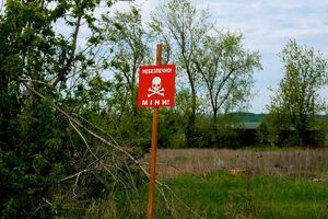На мину сейчас можно наткнуться в полях, лесах, водоемах