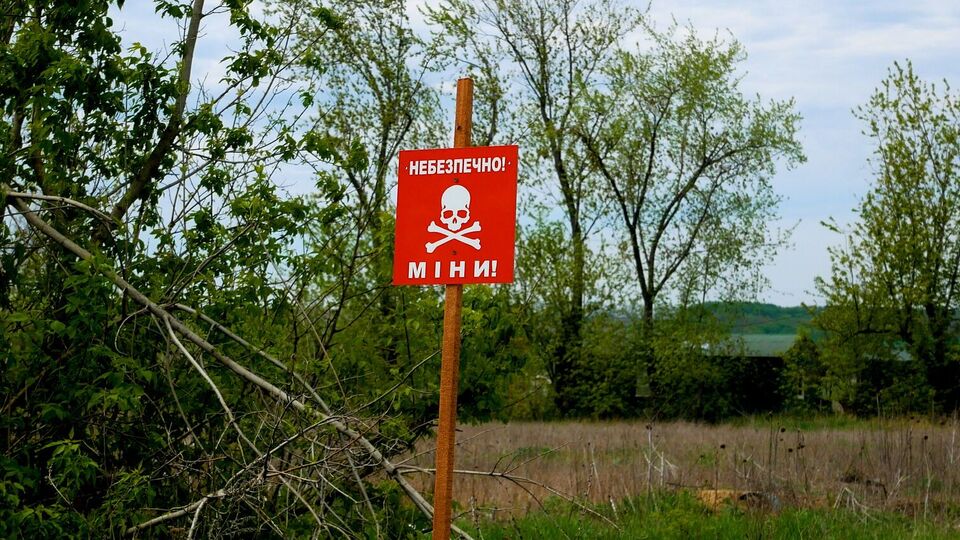 На міну зараз можна натрапити в полях, лісах, водоймах