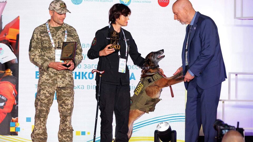 Служебные собаки сейчас работают и на фронте, и в тылу