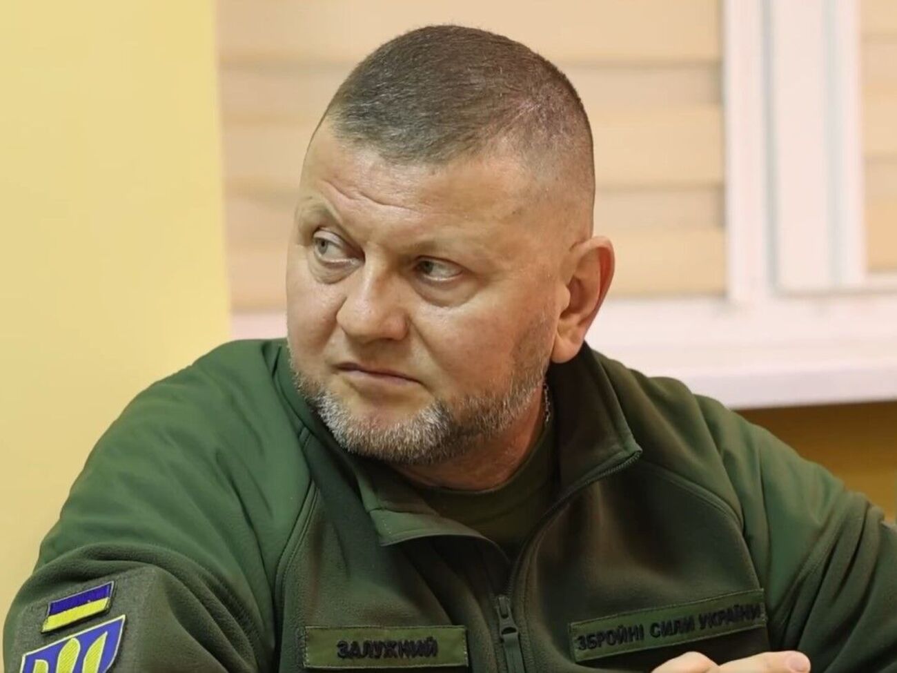 Залужный отметил, что подробно рассказал Каволи и Радакину об обстановке на поле боя