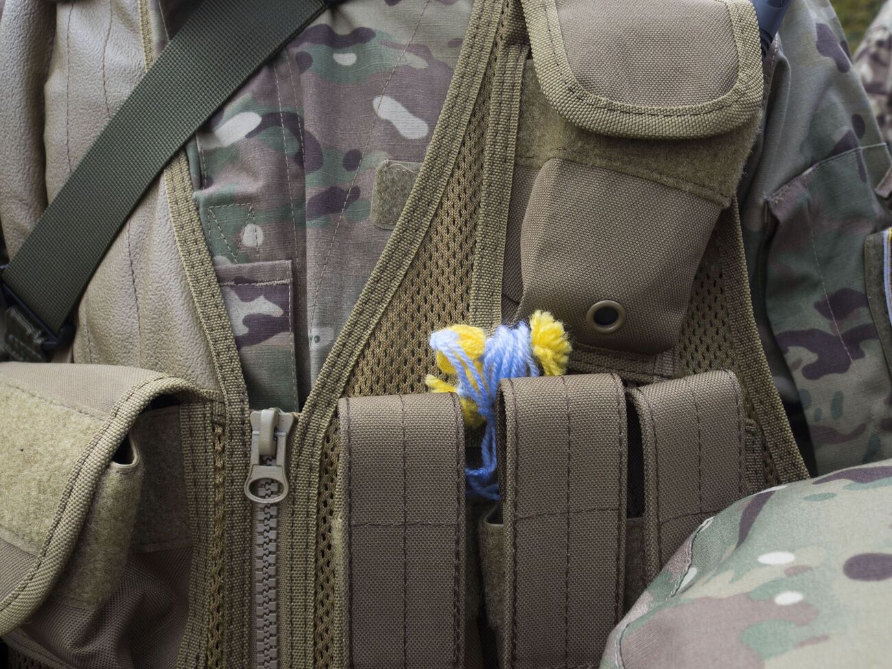 Волонтеры призвали всех неравнодушных подписать петицию об отсрочке правительственного постановления