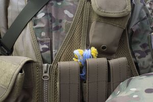 Волонтеры призвали всех неравнодушных подписать петицию об отсрочке правительственного постановления