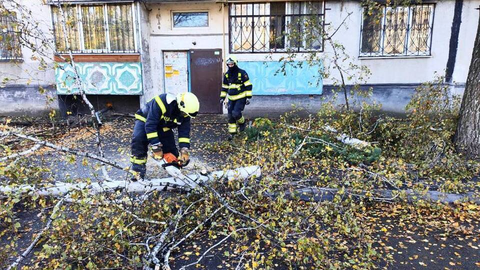 По словам Кличко, зафиксированы факты падения или повреждения более 250 деревьев