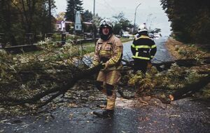 Непогода затронула все области Украины, говорят в МВД