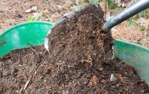 Правильно приготований компост покращить структуру ґрунту