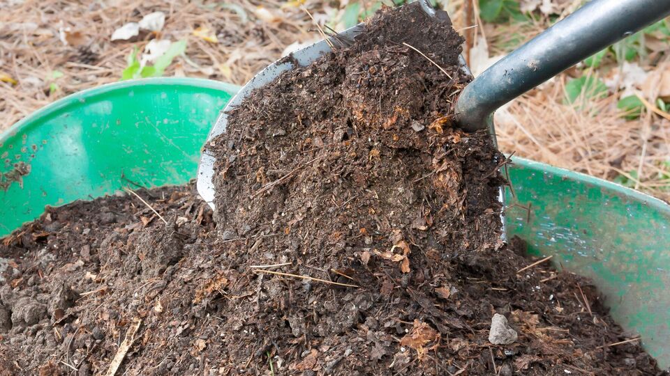 Правильно приготований компост покращить структуру ґрунту
