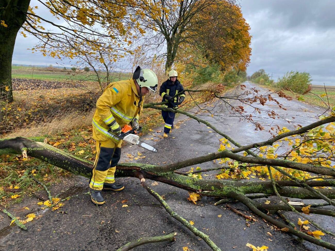 Из-за сильного ветра падали деревья