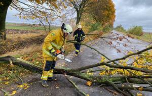 Из-за сильного ветра падали деревья