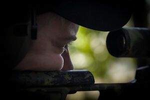 На мелитопольском направлении силы обороны продолжают наступательную операцию