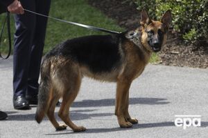 В Белом доме не уточнили, куда уехал Коммандер